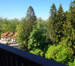 2-комнатный номер люкс в Икша