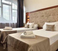 Стандарт с раздельными кроватями в Bridge hotel
