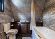 АНДРОМЕДА ( ДО 4 ГОСТЕЙ ) в Berloga Country Resort