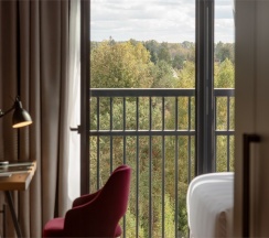 Стандартный номер с двуспальной кроватью в Рябина от Васта