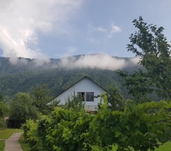 Коттедж стандарт в Груша