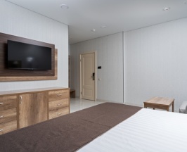 Двухместный Стандарт Цоколь в Trianon hotel