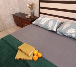 2-комнатные апартаменты эконом в Турист