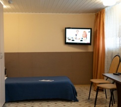 Эконом трехместный в Курский соловей