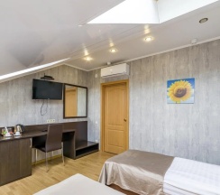 Стандарт в Аист