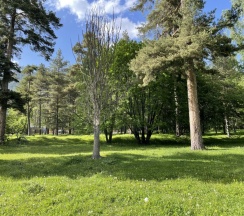 Пятиместный коттедж с красивым видом из окна в Paradise