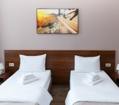 Стандарт 103 в Никольский