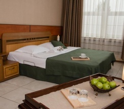 Номер люкс с 1 двуспальной кроватью в Калина