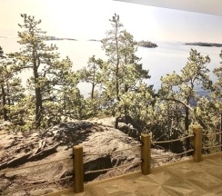 Апартаменты с красивым видом из окна (диван) в Апартаменты в Старинном Финском Доме