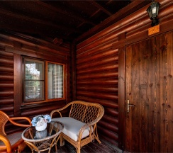 Стандарт  ДОМ №2 в Лесная заимка