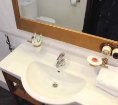 Номер полулюкс делюкс с 1 двуспальной кроватью в Барский флигель