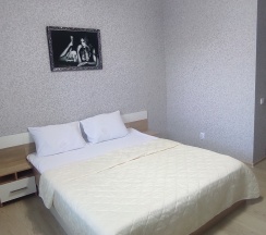 Номер с Двуспальной кроватью в Hotel Октябрьский