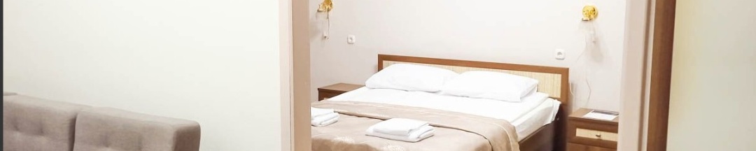Двухместный номер комфорт в Smart Hotel KDO Миасс