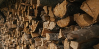 Реускула: Турбаза Forrest Lodge Karelia