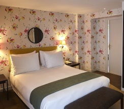 Двухместный номер Deluxe с балконом двуспальная кровать в Hotel du Danube Saint Germain