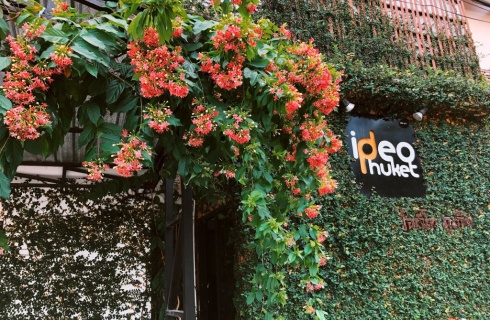 Таиланд, Сакху: Отель Ideo Phuket Hotel