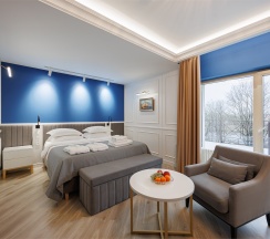 Полулюкс с выходом на террасу в Псков