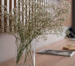 1-комнатные апартаменты студия Санкт-Петербург, Заозерная 3, к.3, стр.1 в Art Apart