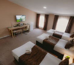 Трёхместный номер Standard в City Hotel