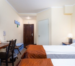 Эконом (цокольный этаж) в Флогистон