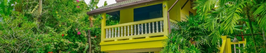 Студия Цокольный этаж в Chez Charly Bungalow