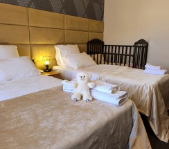 Трехместный полулюкс (DBL/SGL/Triple)  в Никольское