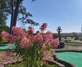 Двухместный номер  в В гостях у Нобеля