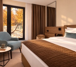 СТАНДАРТ с широкой кроватью с выходом на террасу в Palmira Garden Hotel & SPA