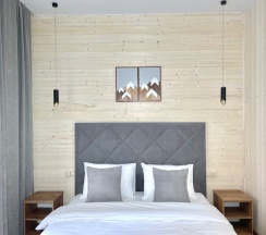 Стандартный двухместный номер в Снега