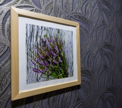 Одноместные и двухместные в Гостиница