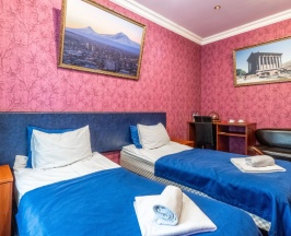 Двухместный номер Standard (двуспальная кровать) в Ani hotel