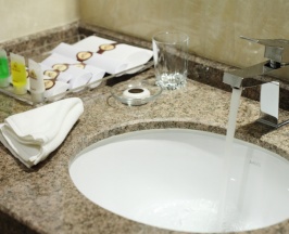 Одноместный номер Superior в Park Hotel Bishkek