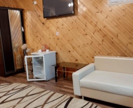 Номер полулюкс улучшенный в Млечный путь