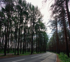 Номер люкс двухэтажный с 1 двуспальной кроватью в Радуга