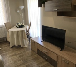 Номер комфорт с 1 двуспальной кроватью в Гульден