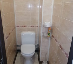 Двухместный просторный номер в Родина