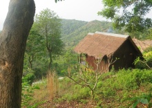 Номер Standard в Tree House Bungalows