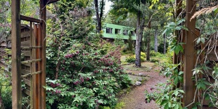 Всеволожск: Отель Forest Relax