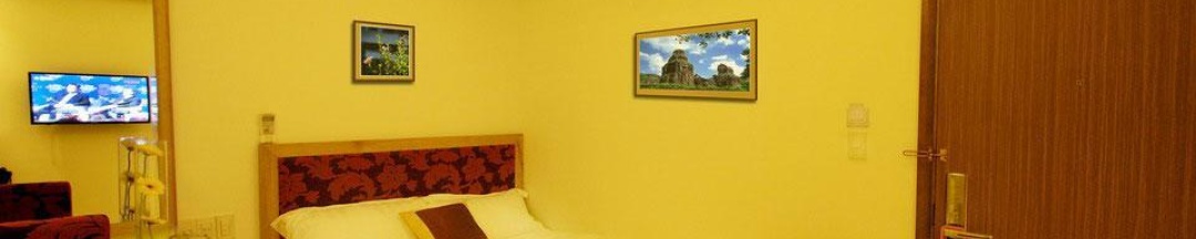 Двухместный номер Superior с видом на город двуспальная кровать в Blue Pearl Hotel
