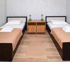 Номер комфорт с 2 односпальными кроватями в Smart Hotel KDO Воронеж