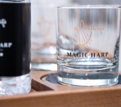 Джуниор Сюит в Magic harp
