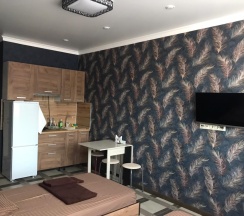 Номер стандарт с 2 односпальными кроватями в Паночка