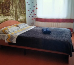 2-комнатные апартаменты стандарт Карла Маркса 45 в Rusdom Sweet Apartments (Русдом Свит) на улице Карла Маркса