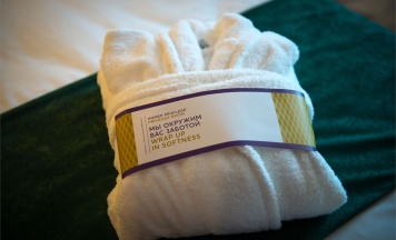 Номер Classic - с 2 односпальными кроватями в Mercure Саранск Центр