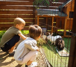 Garden-2 | Банный чан в Барские Поля