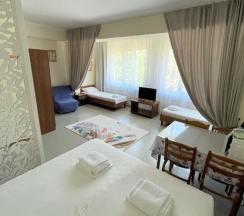 Улучшенный четырехместный номер в Grand Crystal Group