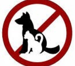 Двухместный стандарт: 2е односпальные кровати  (корпус №1 ) в Лесное поместье