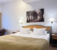 Двухместный полулюкс (двуспальная кровать) в Old Estate Hotel&SPA