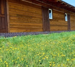 Трехместный номер Комфорт с душем в Romashka