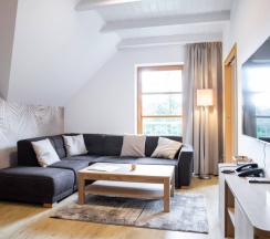 Четырёхместный Senior люкс Deluxe в Amenity Resort Spindleruv Mlyn